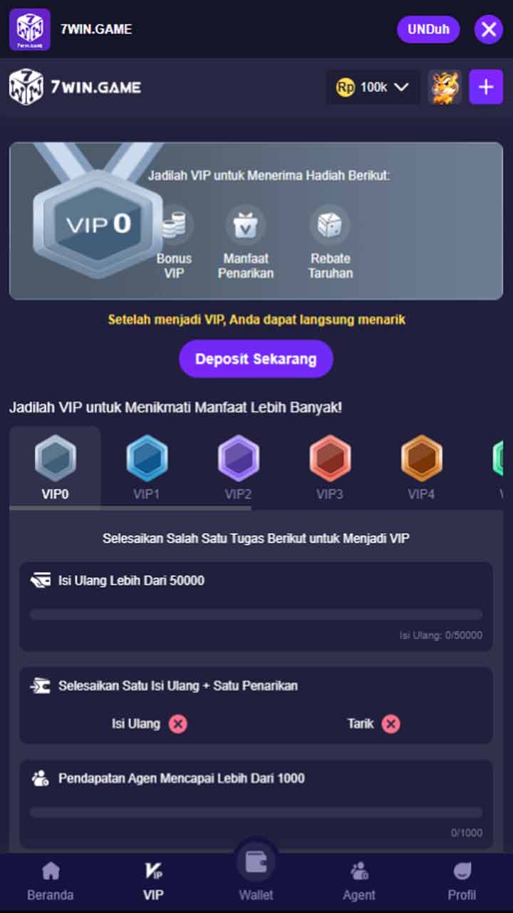 Imagem da captura de tela